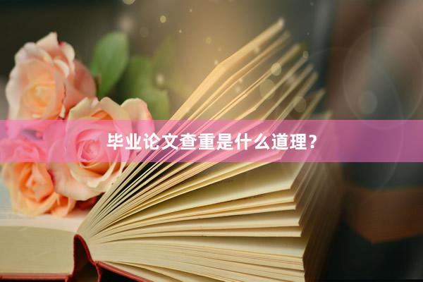毕业论文查重是什么道理？
