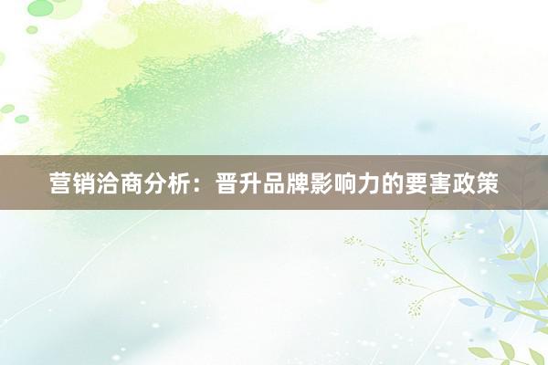 营销洽商分析：晋升品牌影响力的要害政策